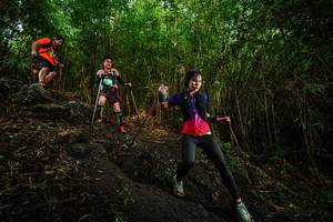 BIB: 
                            <button type="button" onclick="openModal(25098952)" class="btn btn-primary btn-sm float-right btn-popup" data-toggle="modal" data-target=".modal-high-quality">
                        <i class="fas fa-shopping-cart"></i> Add to Cart
                    </button>
                                            <button type="button" onclick="isThisMe(25098952, true)" class="btn btn-success btn-sm float-right btn-popup btn-isme hidden" data-toggle="tooltip" data-placement="bottom" title="นี่คือรูปของคุณใช่ไหม คลิกที่นี่เพื่อเอาเข้าอัลบั้ม">
                        <i class="fas fa-plus"></i> Add to album
                    </button>
                    <button type="button" onclick="isThisMe(25098952, false)" class="btn btn-warning btn-sm float-right btn-popup btn-isnotme hidden">
                        <i class="fas fa-ban"></i> Remove from album
                    </button>